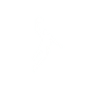 Basketball.xyz